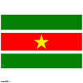 Suriname flag