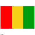 Guinea Flag