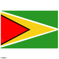 Guyana Flag