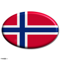 Norwegian Flag Icon