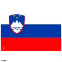 Slovenia Flag