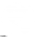 Detailed Globe: North America, White