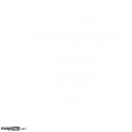 Detailed Globe: Africa, White