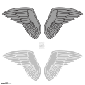 Wings Set 5