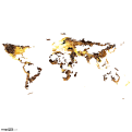 World Map, Night Lights